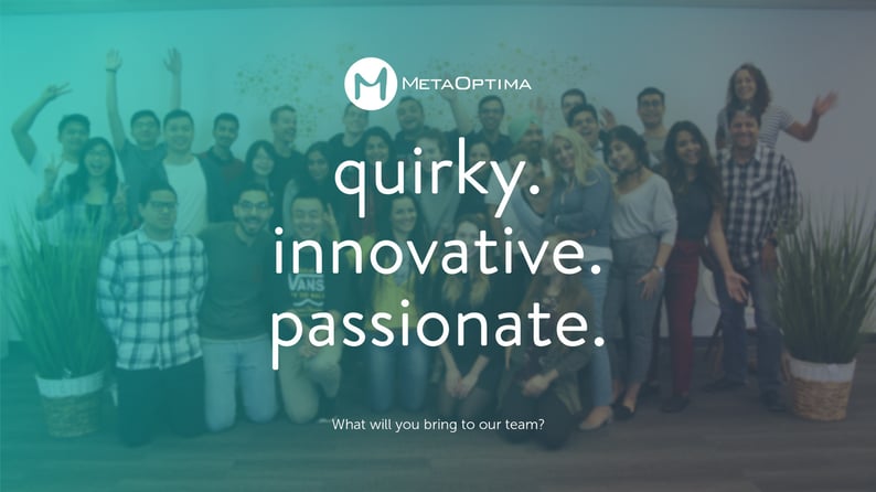 MetaOptima Technology Team Culture