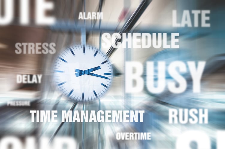 Project Management Timeline for EMR Software