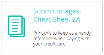 Skin App Cheat Sheet 2A