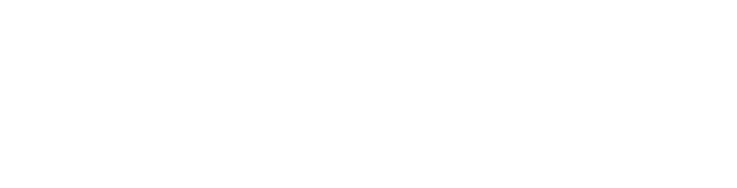 DermEngine-OptimaScan-Logo