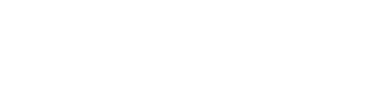 MetaOptima