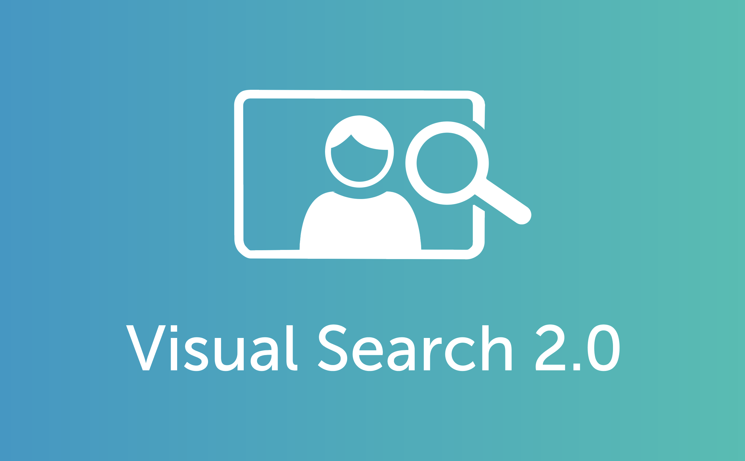Visual Search 2.0